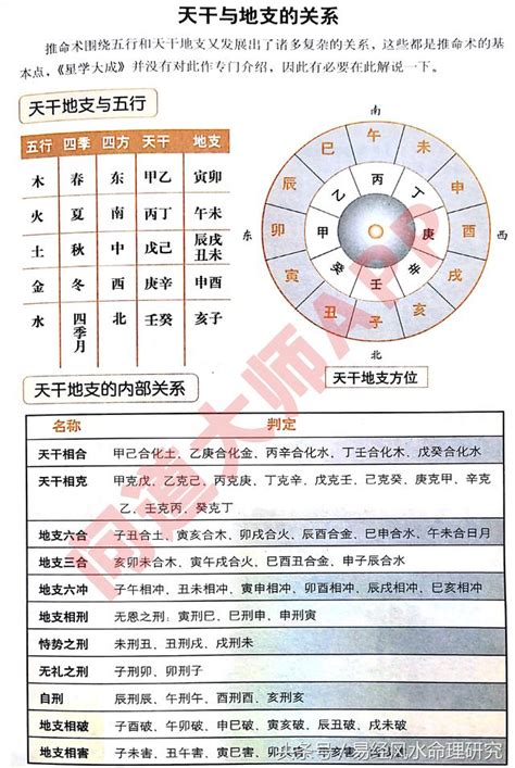 十二地支陰陽|圖解：教你認識十二地支